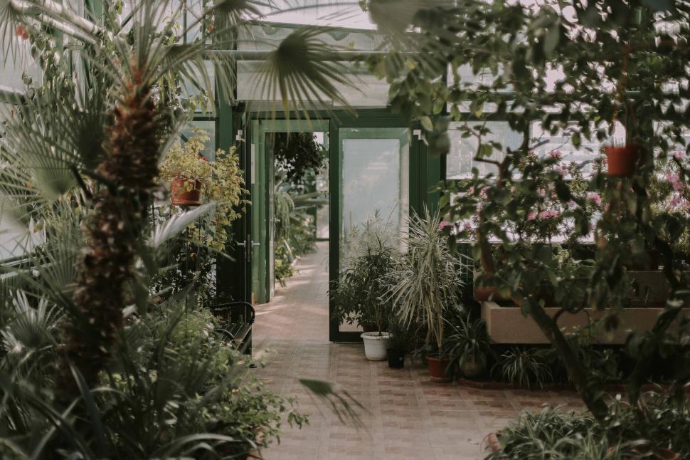 Free Image of Lush Greenhouse Walkway 