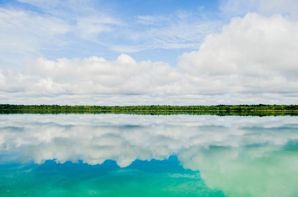 Free Image of Dense Forest Surrounding Expansive Water Body 