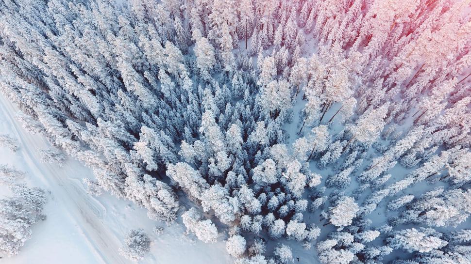 Free Image of Aerial View of Snow Covered Forest 