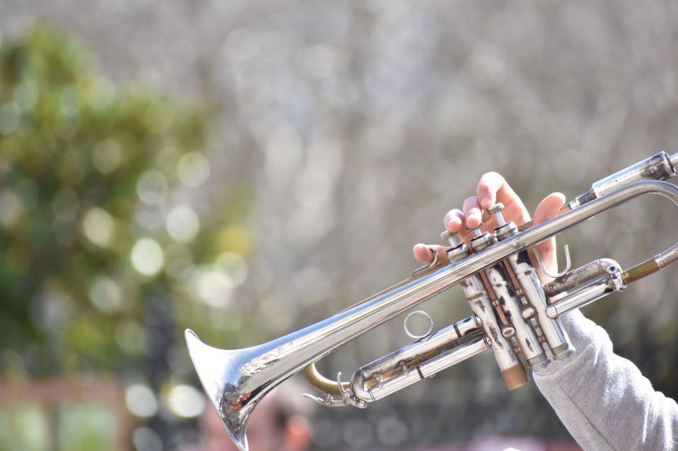 Free Stock Photo of brass wind instrument trombone musical instrument  cornet oboe