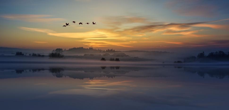 Free Image of A Flock of Birds Flying Over a Body of Water 