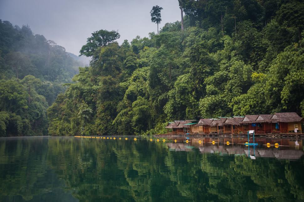 Free Image of Lush Green Trees Surrounding Body of Water 