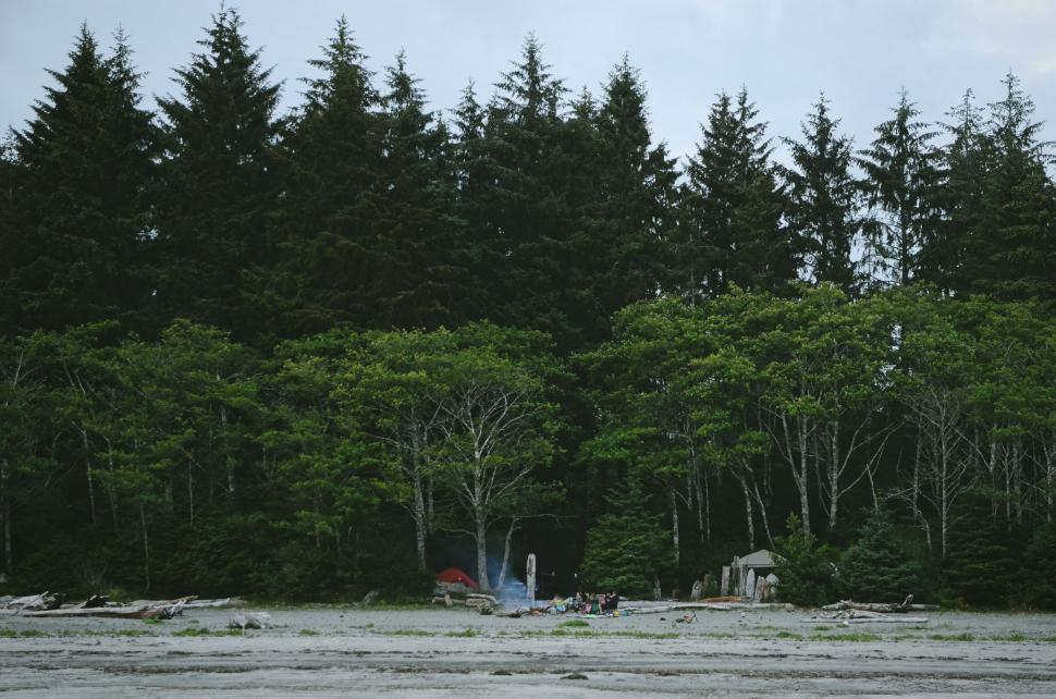 Free Image of Boat Floating on Lake Next to Forest 