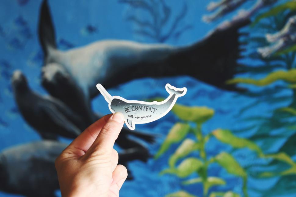 Free Image of Hand Holding Paper With Whale Drawing 