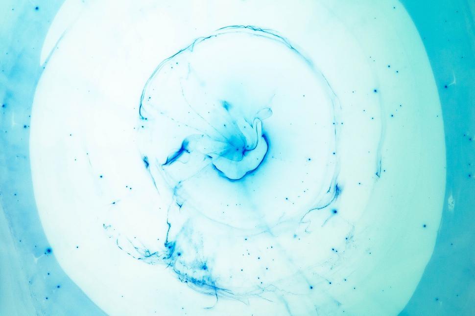 Free Image of Blue and White Swirl in Blue and White Bowl 