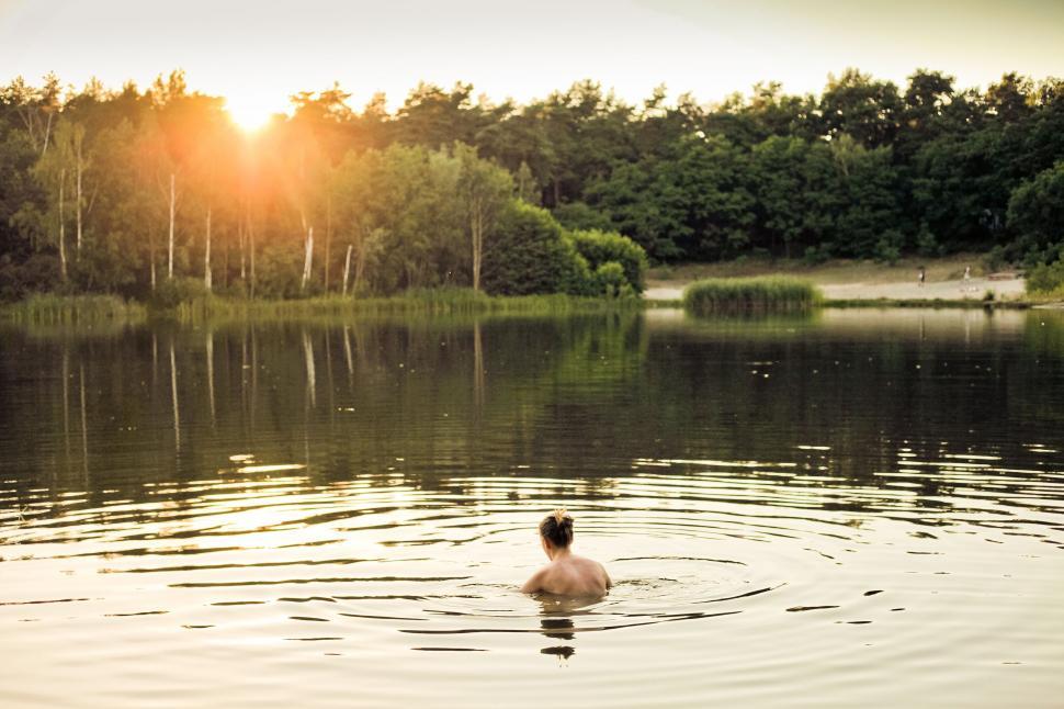 Free Image of Duck Swimming in Lake With Trees 