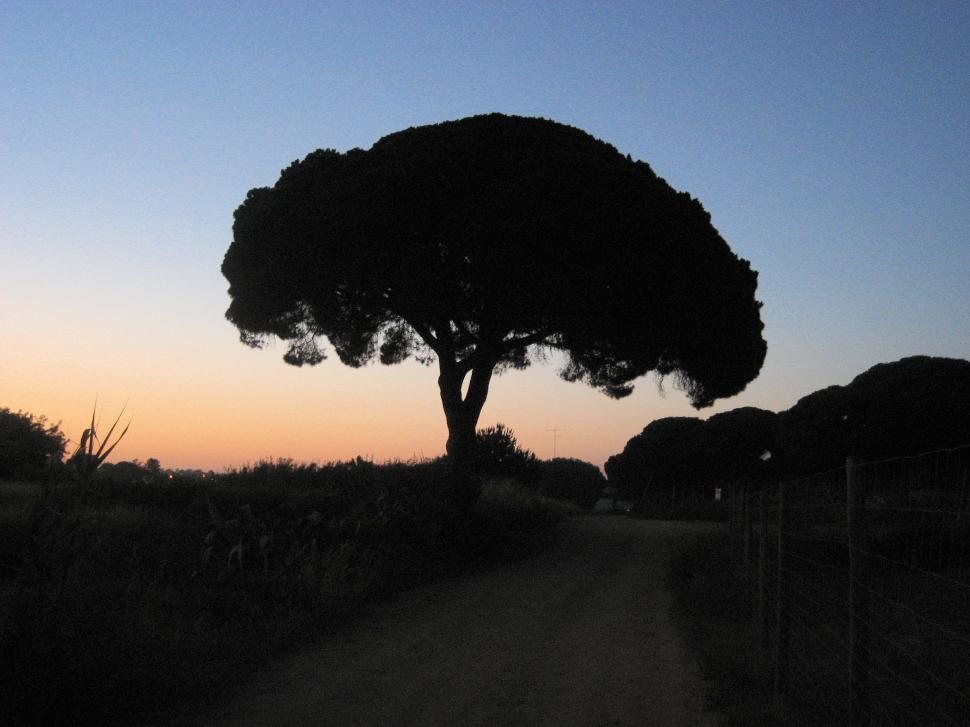 Free Image of Algarve Portugal 
