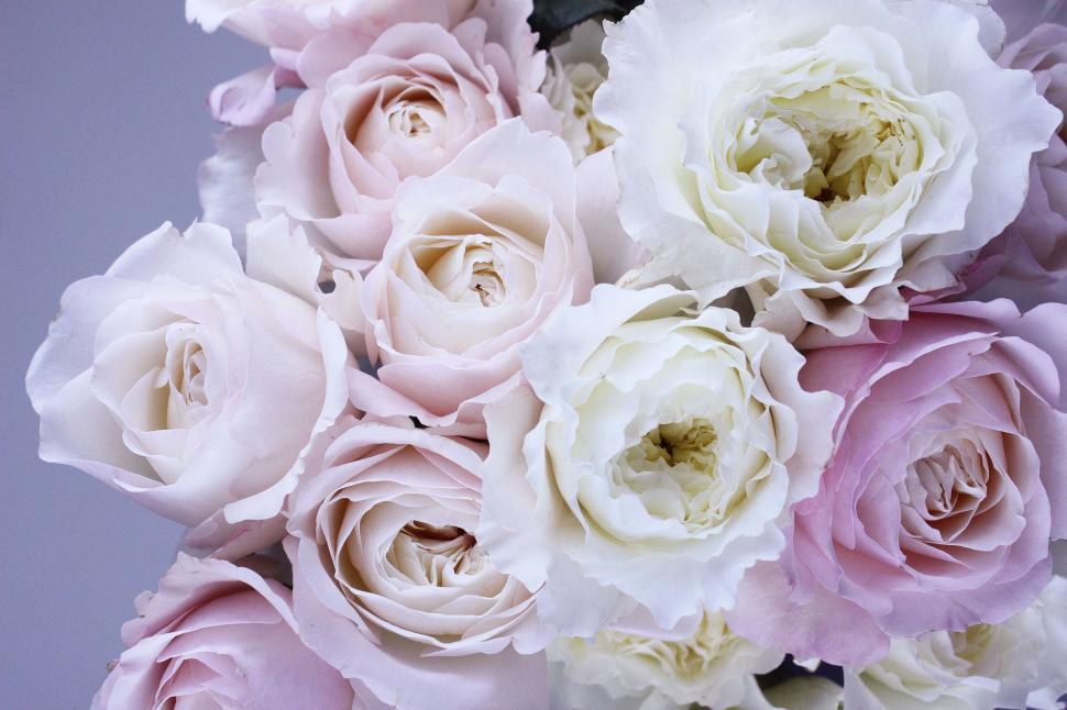 Free Image of Pink and White Flower Bouquet on Table 