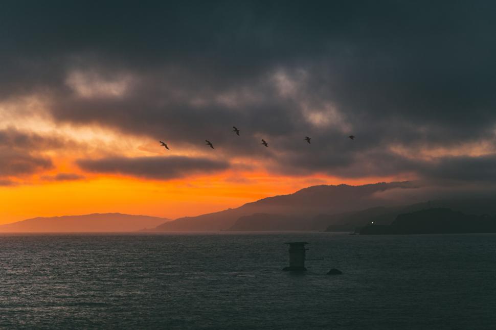 Free Image of A Flock of Birds Flying Over a Body of Water 