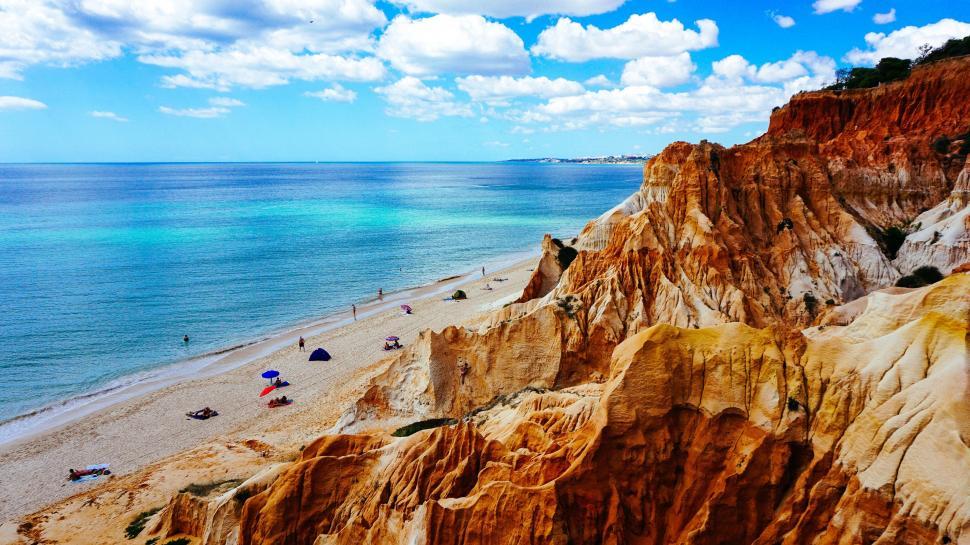 Free Image of People Enjoying a Beach Day 
