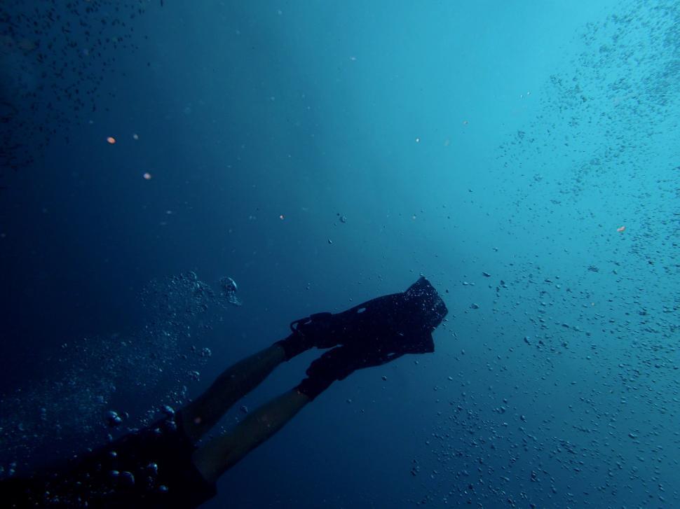 Free Image of Person Swimming in the Water 