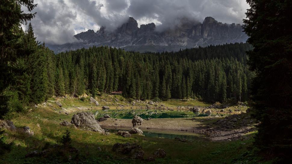 Free Image of Dense Forest With Trees Under Cloudy Sky 