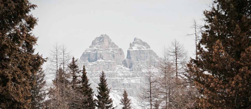 Free Image of Snow Covered Mountain With Trees in Foreground 