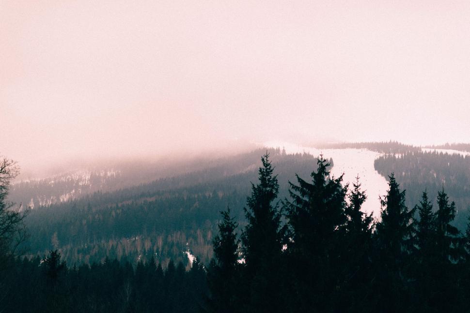 Free Image of Mountain Landscape With Foreground Trees 