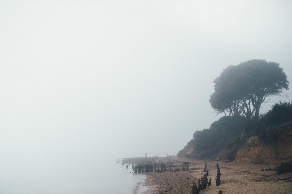 Free Image of Group of People Standing on Beach by Water 