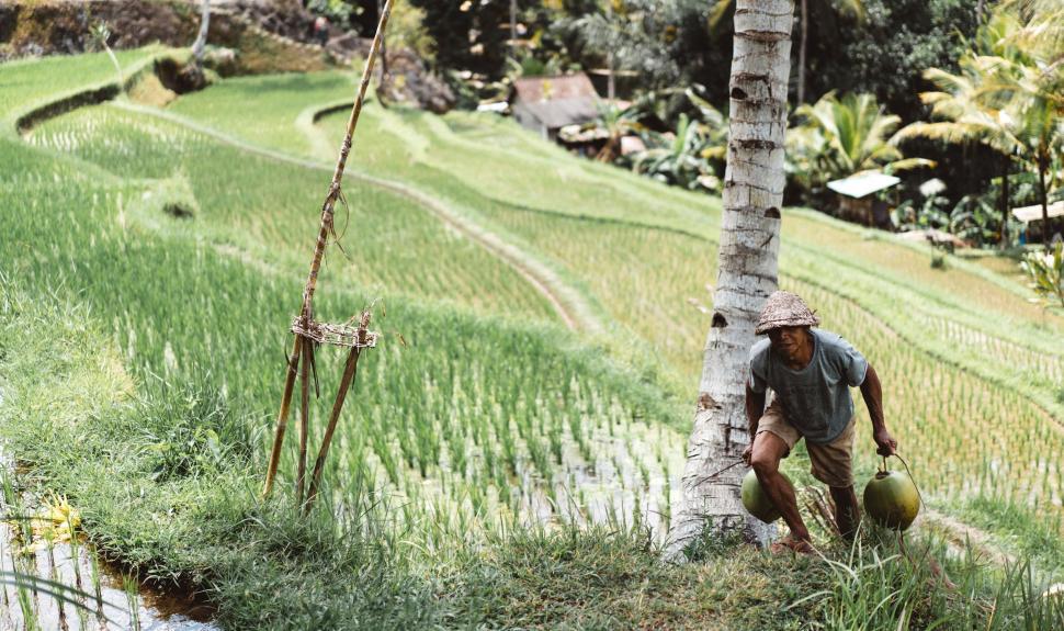 Free Image of Man Standing Next to Tree in Lush Green Field 