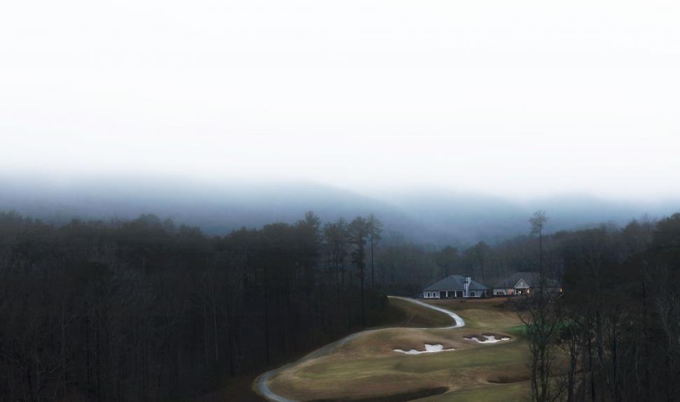 Free Image of Blurry Road in the Woods 