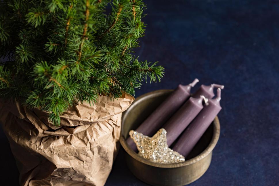 Free Image of Candles in Bowl Next to Tree 
