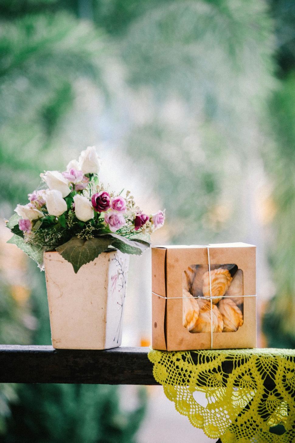 Free Image of Cat-themed Box Beside Potted Plant. 