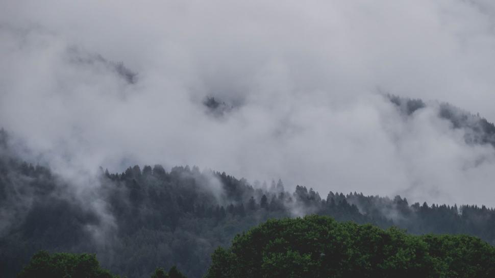 Free Image of Plane Flying Over Forest Covered in Clouds 