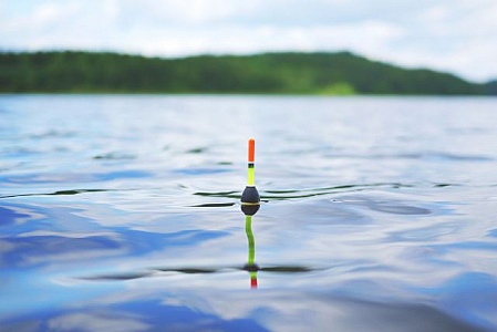 Just Fishing Cork Floating On Calm Lake Stock Photo - Download