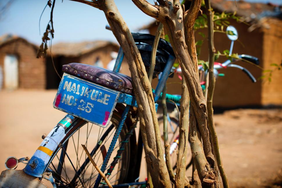 Free Image of Blue Bicycle Parked Next to Tree 