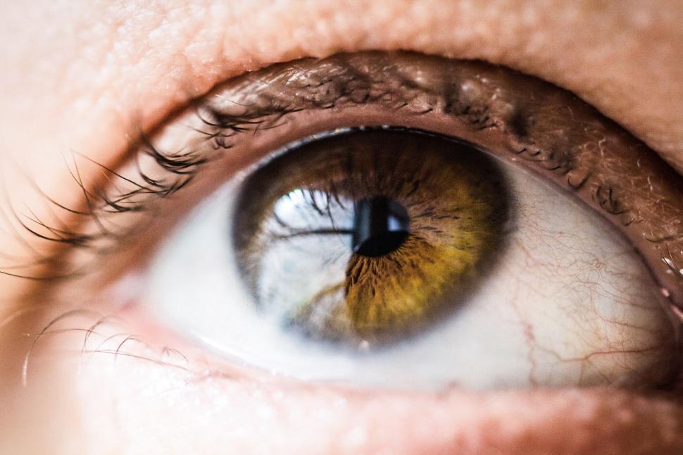 Free Image of Close Up of a Persons Eye With a Yellow Iris 