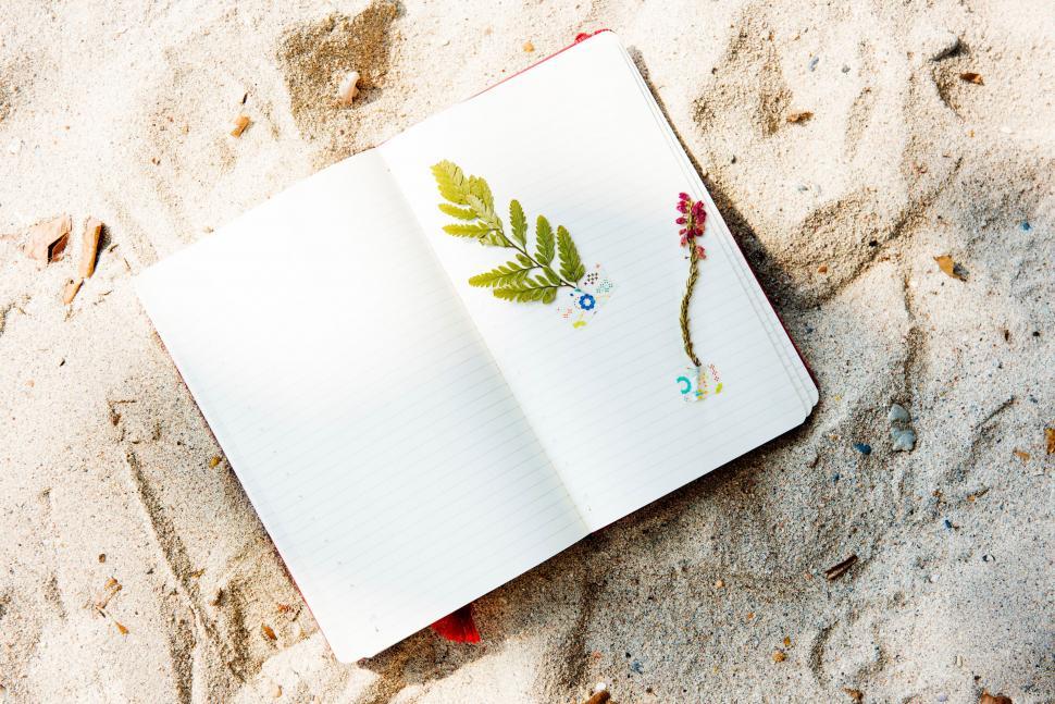 Free Image of Drawing of a Plant on an Open Notebook 