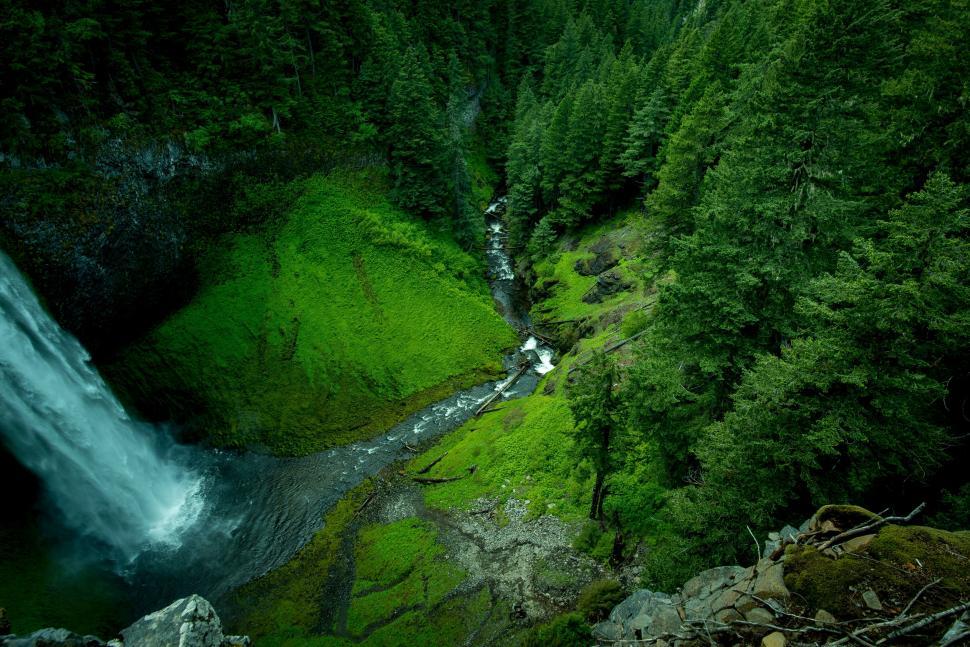 Free Image of A Majestic Waterfall in a Dense Green Forest 