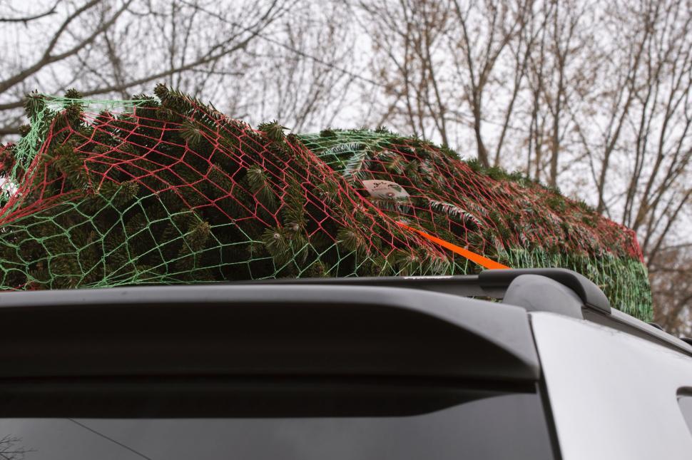Free Image of Car With a Net on Top 