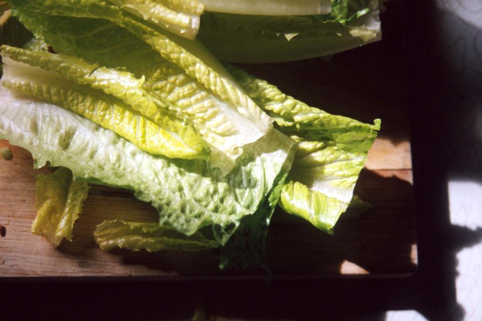 Free Image of Romaine lettuce 