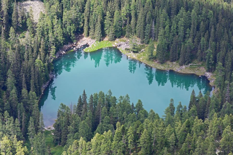 Free Image of Lake Surrounded by Trees in a Forest 