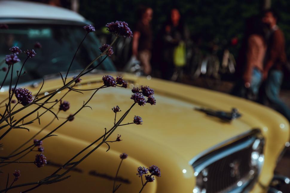 Free Image of Close Up of a Yellow Car With Flowers 