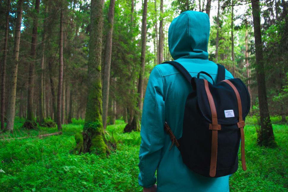 Free Image of Person With Backpack Walking Through Forest 