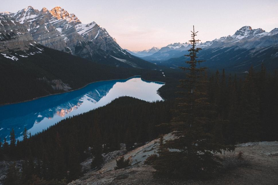 Free Image of Mountain Lake Surrounded by Trees 