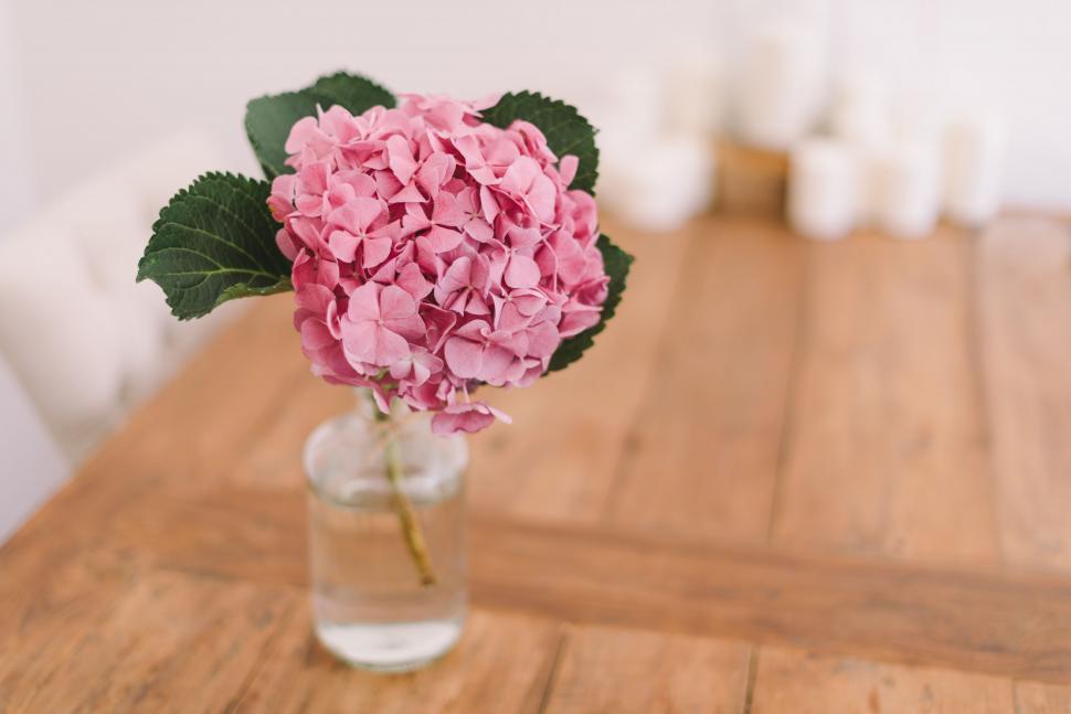 Free Image of Pink Flower in Glass Vase on Wooden Table 