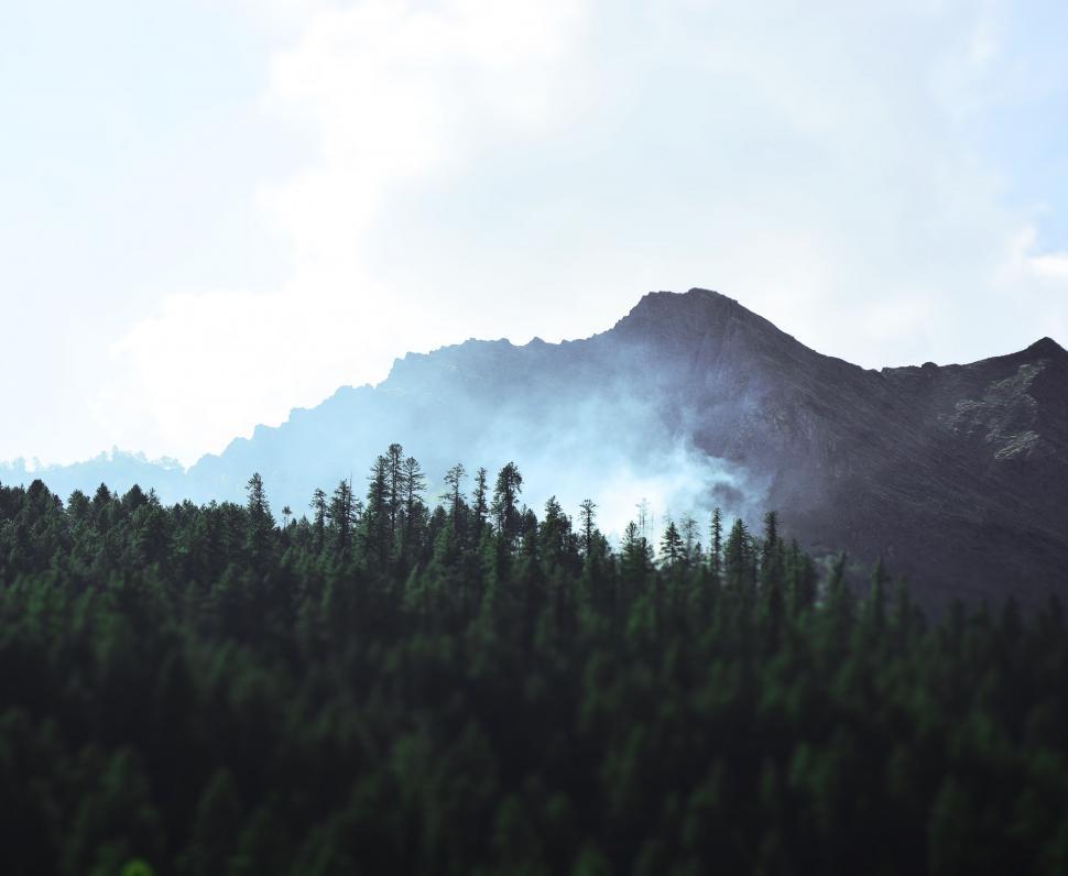 Free Image of Mountain Landscape With Foreground Trees 