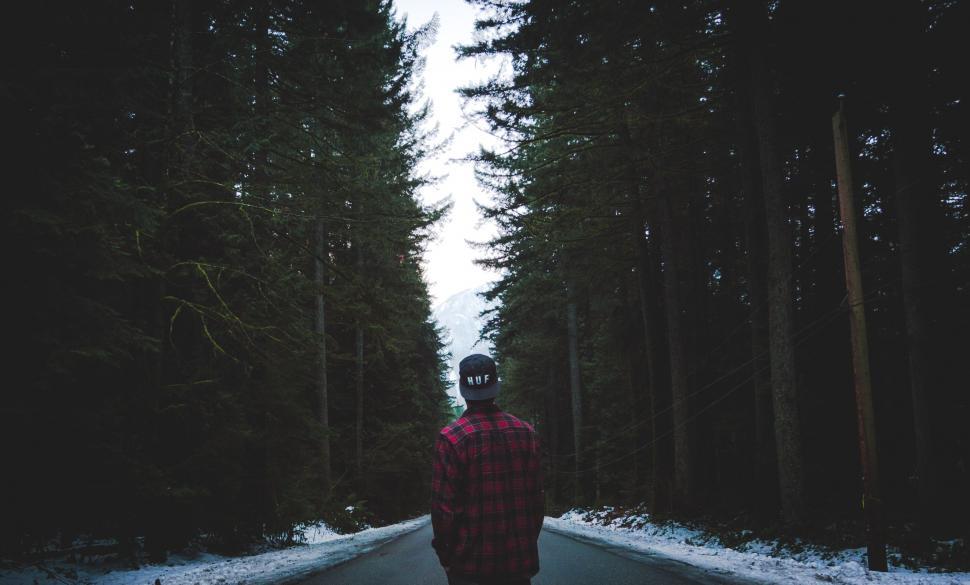 Free Image of Man Walking Down a Road in a Forest 