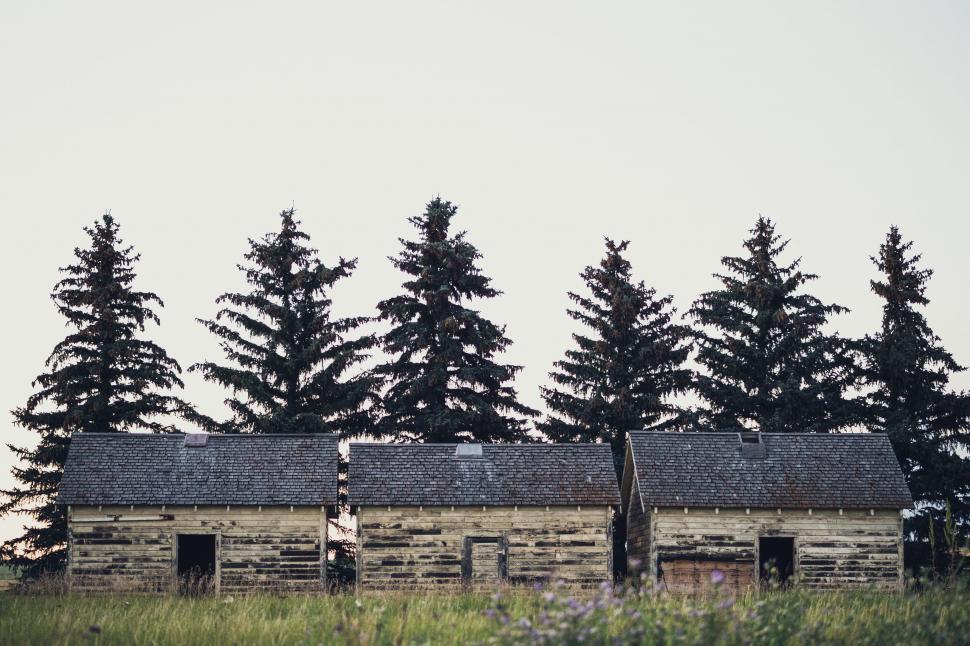 Free Image of Rustic Log Cabin in Field With Trees 