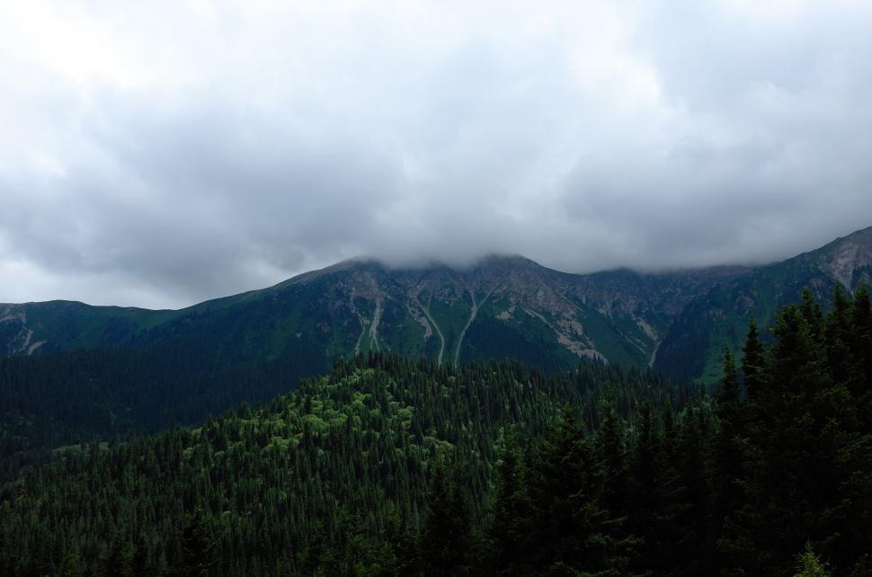 Free Image of Majestic Mountain Range and Forest 