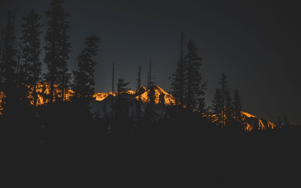 Free Image of Dark Forest With a Mountain in the Background 