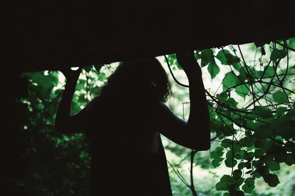 Free Image of Person Standing in Forest Holding Onto Branch 