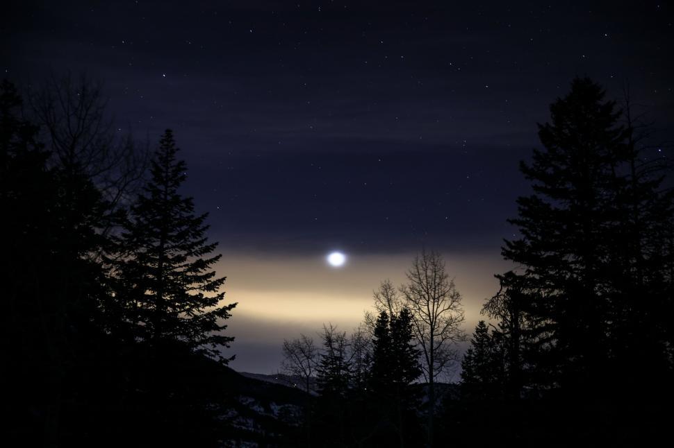 Free Image of Full Moon Peeking Through Trees 