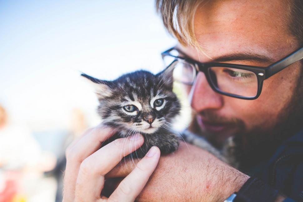 Free Image of Man Holding Small Kitten in Hands 