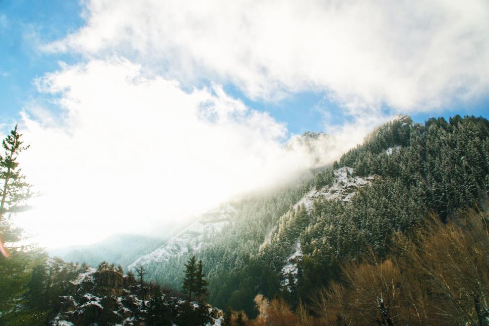 Free Image of Snow Covered Mountain and Trees 