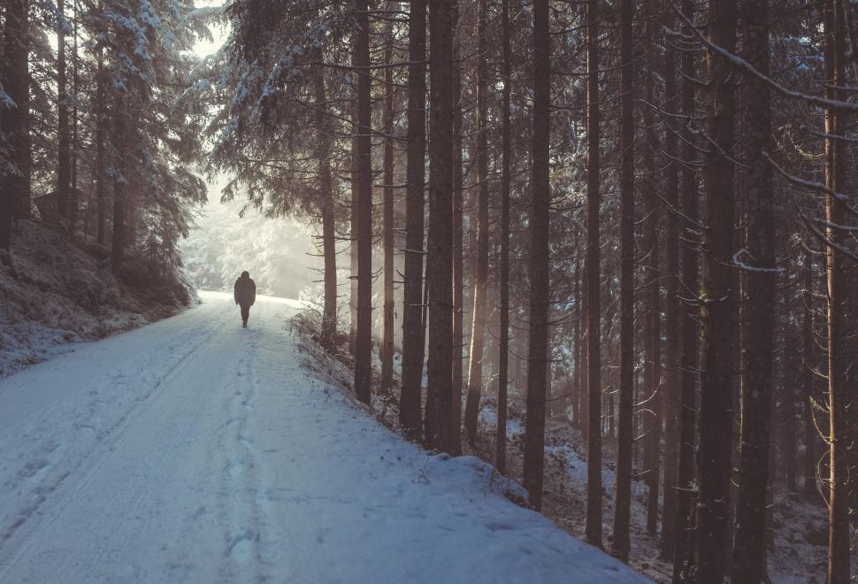 Free Image of Person Walking Down a Snow Covered Road 
