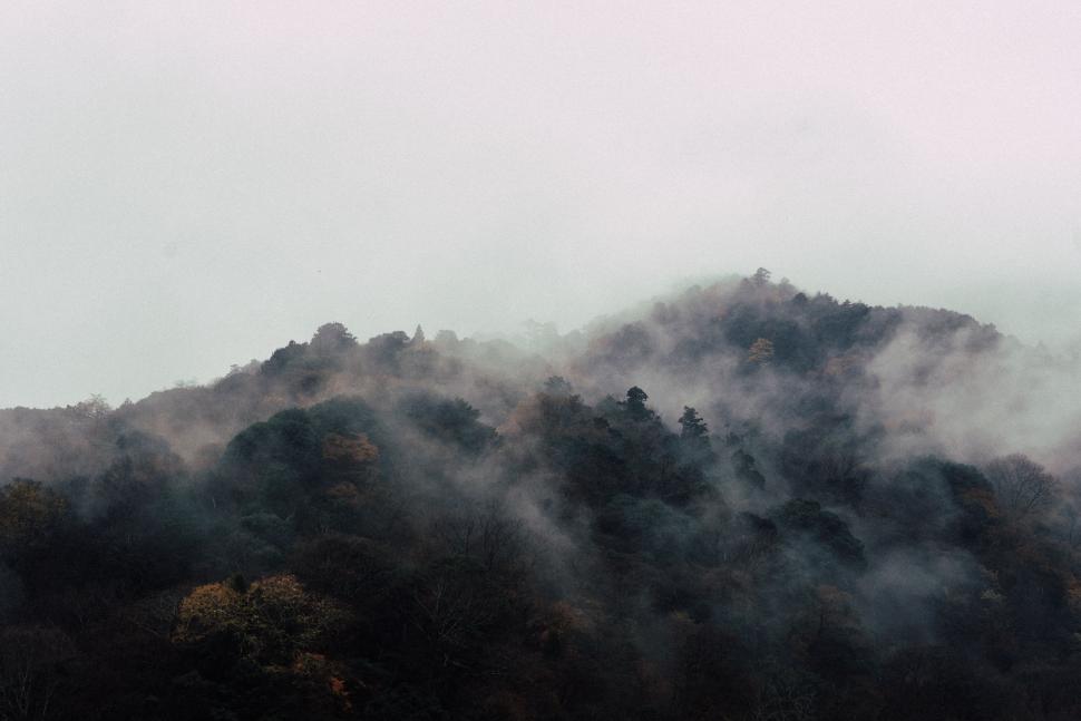 Free Image of Majestic Mountain Enshrouded in Fog 