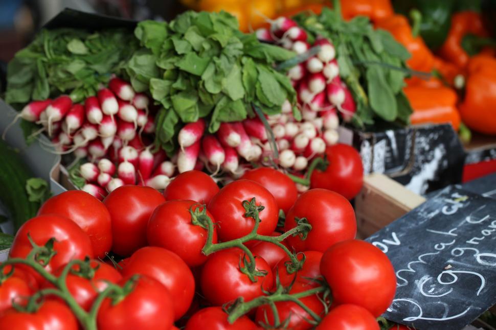 Free Image of Pile of Tomatoes and Various Vegetables on a Table 
