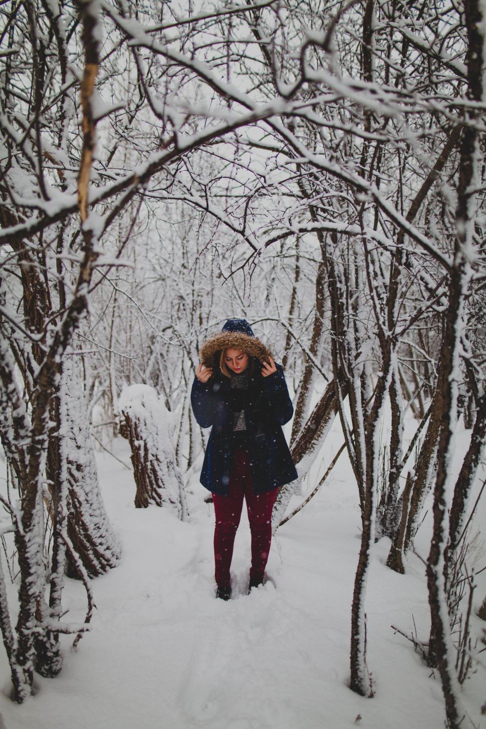 Free Image of Woman Walking Through Snow-Covered Forest 