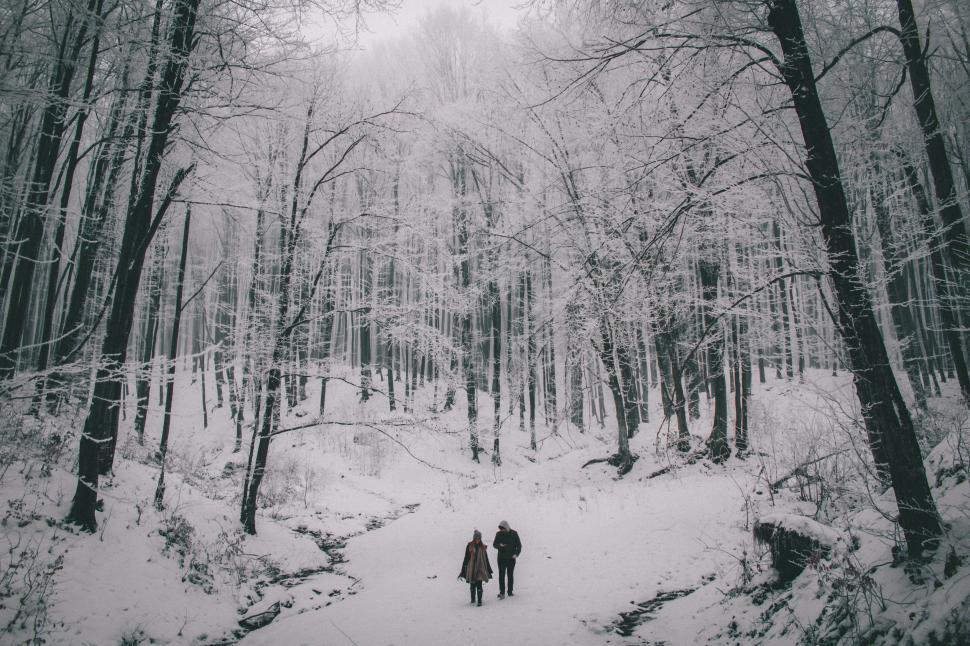 Free Image of Two People Walking Through Snowy Forest 